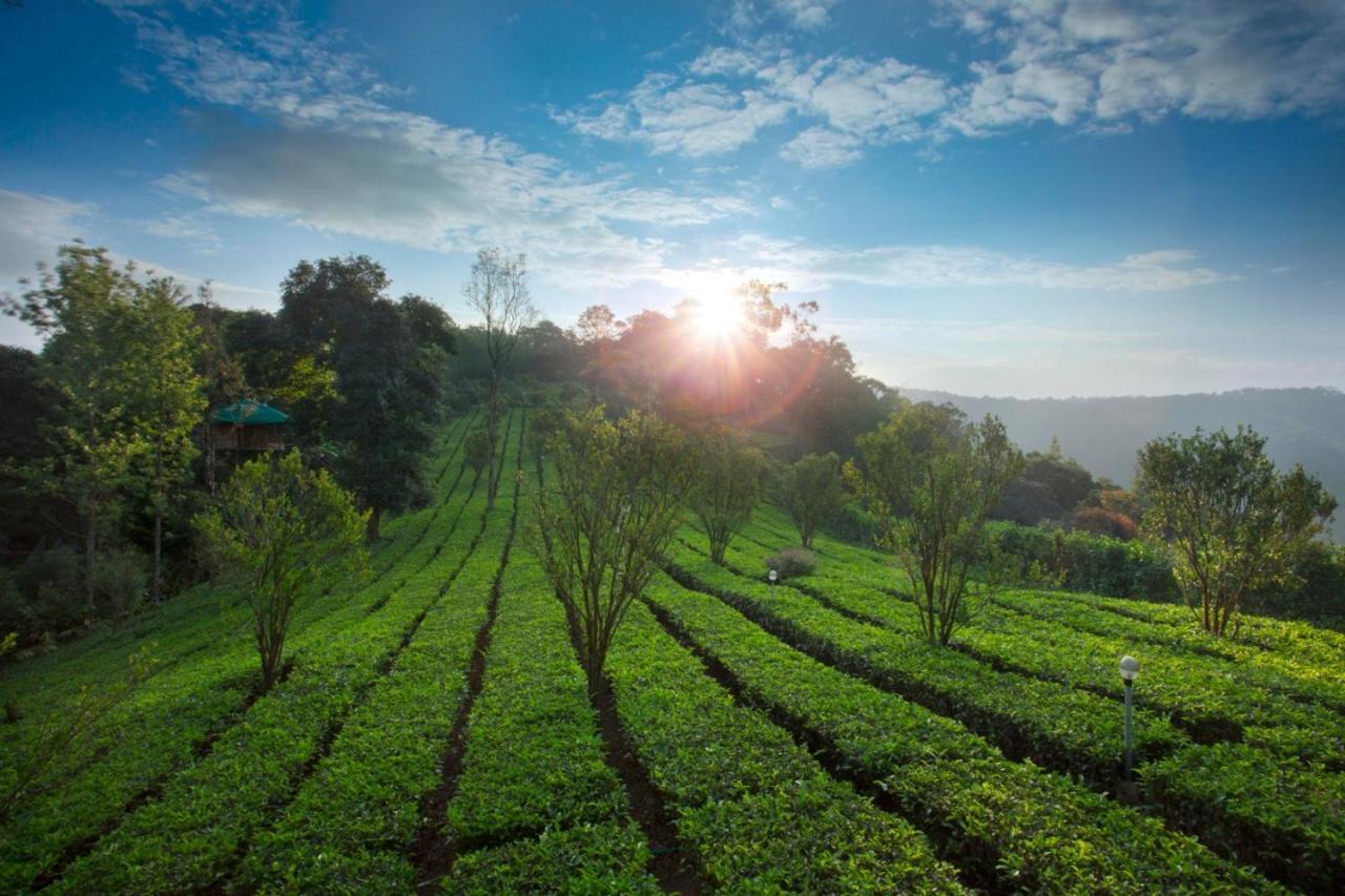 Sisiram River Side Munnar Exterior photo